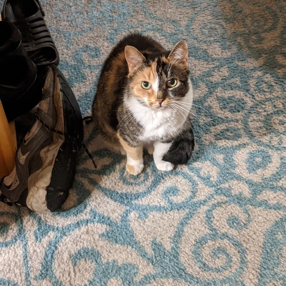 NOT FOR SALE - Picture 10 of 12